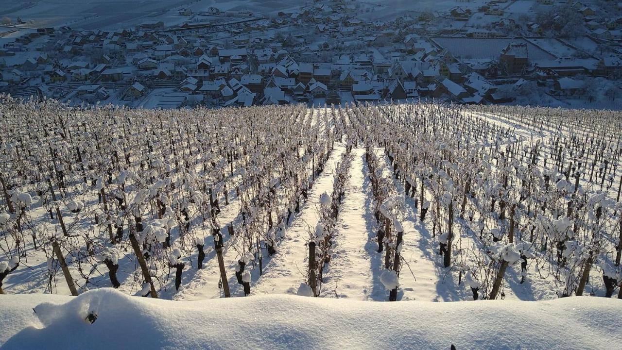 Un Petit Coin D'Alsace Soultzmatt Exterior foto
