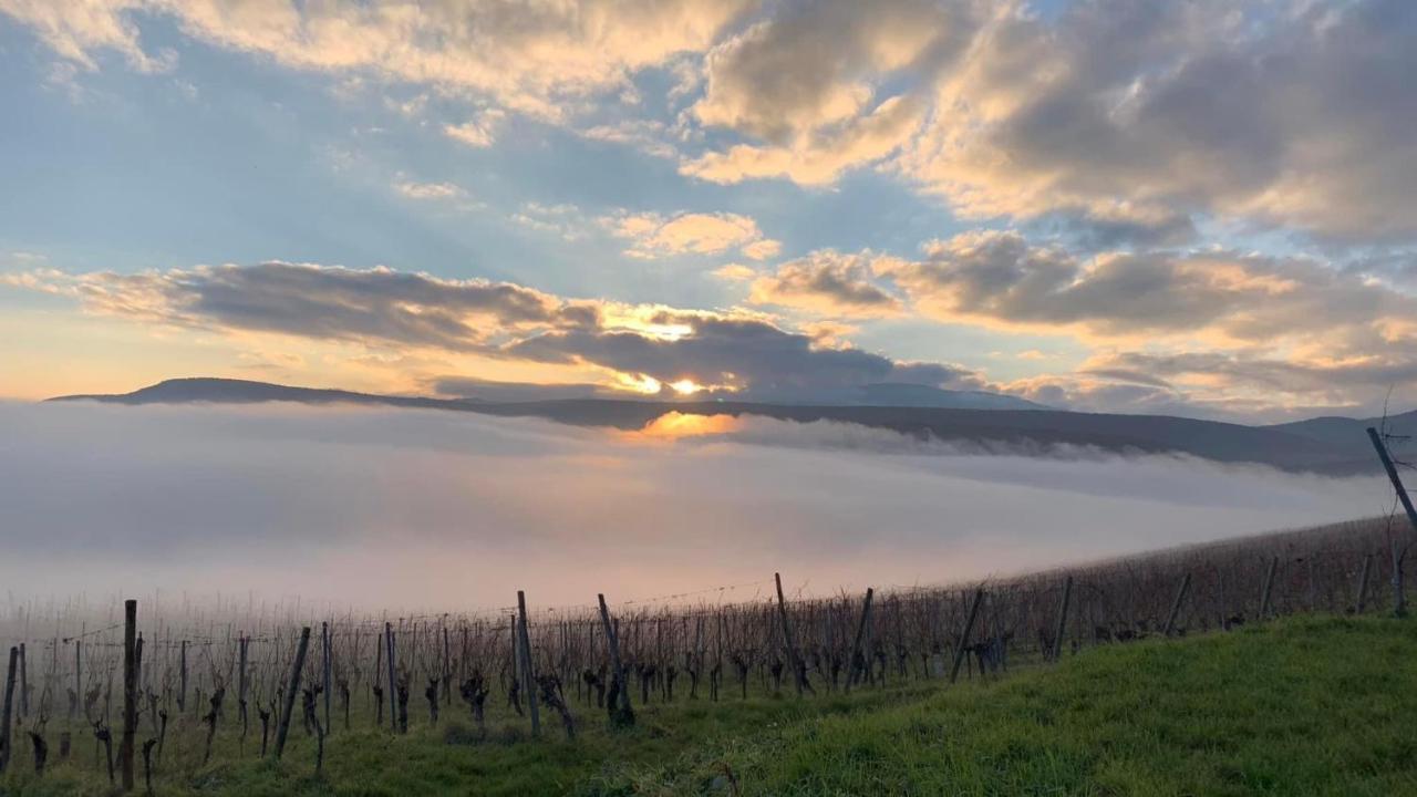 Un Petit Coin D'Alsace Soultzmatt Exterior foto
